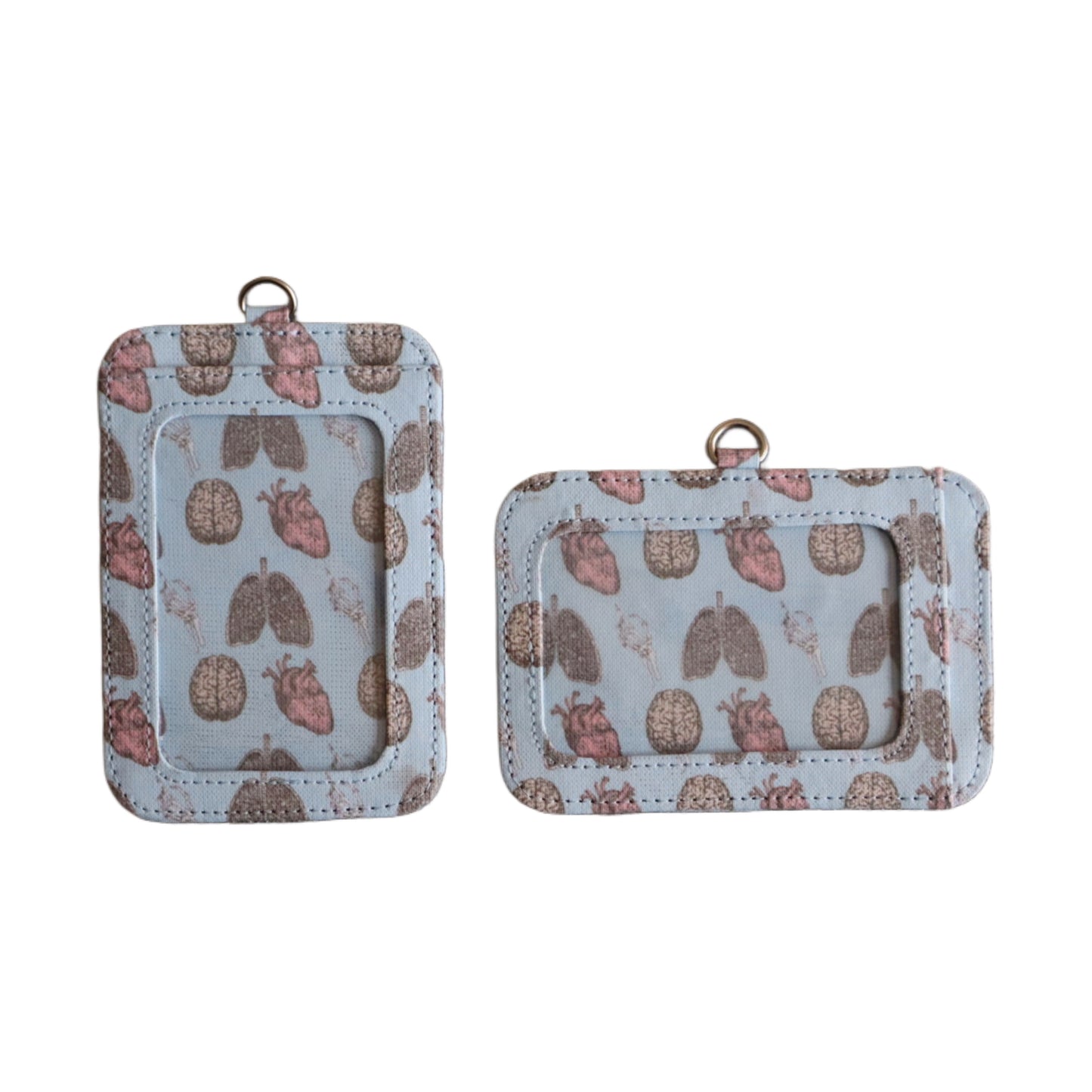 Porta Documentos Anatomy