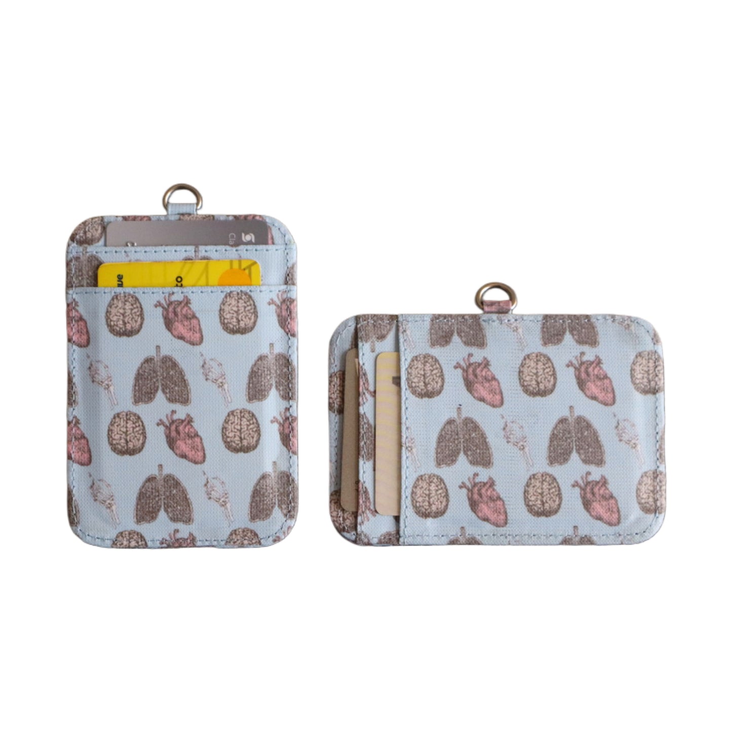 Porta Documentos Anatomy